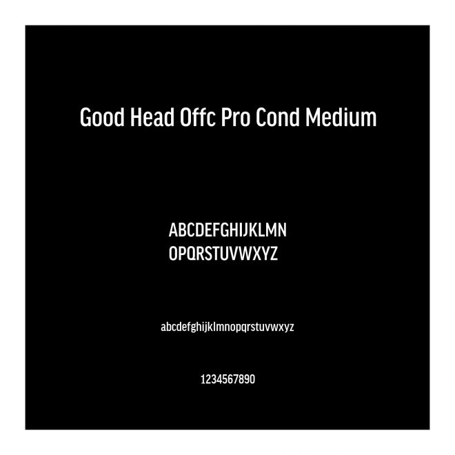 Good Head Offc Pro Cond Medium