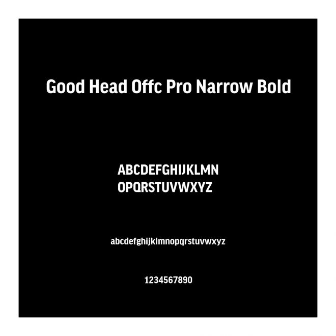 Good Head Offc Pro Narrow Bold