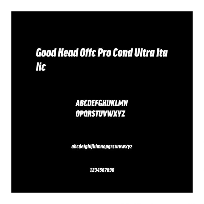 Good Head Offc Pro Cond Ultra Italic