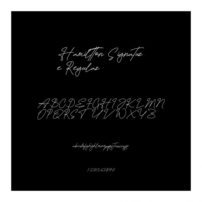 Hamiltton Signature Regular