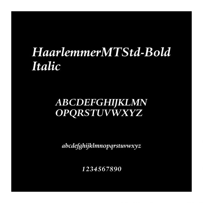 HaarlemmerMTStd-BoldItalic