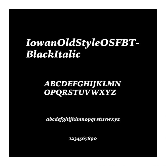 IowanOldStyleOSFBT-BlackItalic