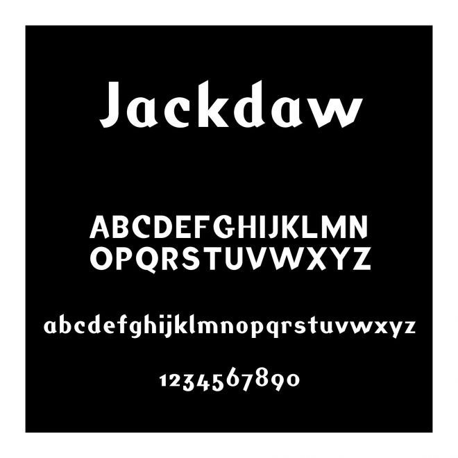 Jackdaw