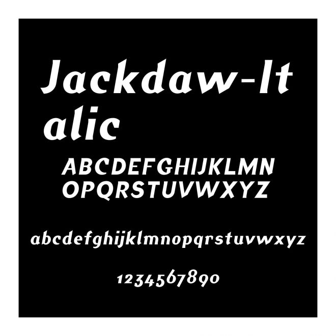 Jackdaw-Italic