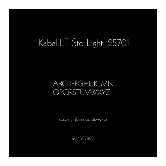Kabel-LT-Std-Light_25701