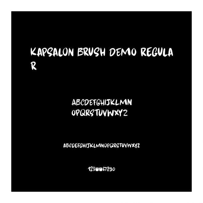 Kapsalon Brush DEMO Regular