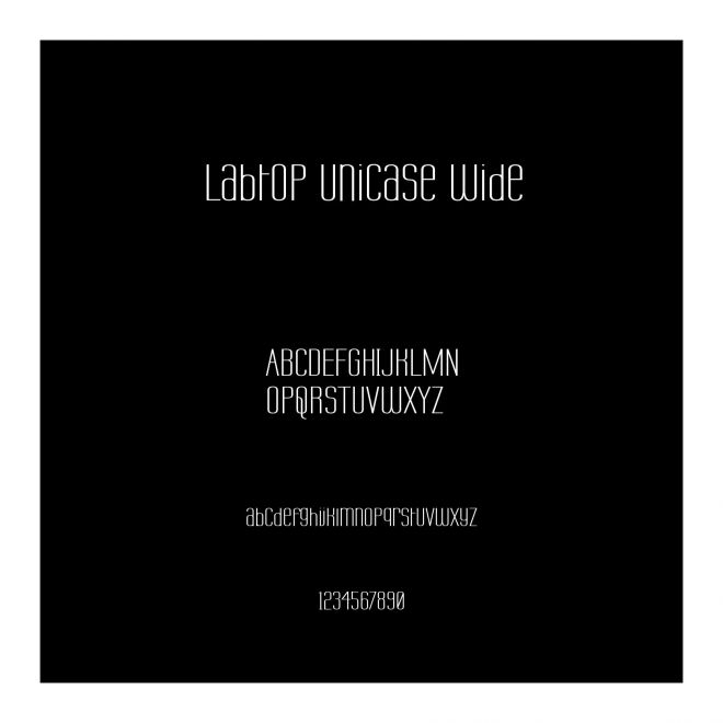 Labtop Unicase Wide