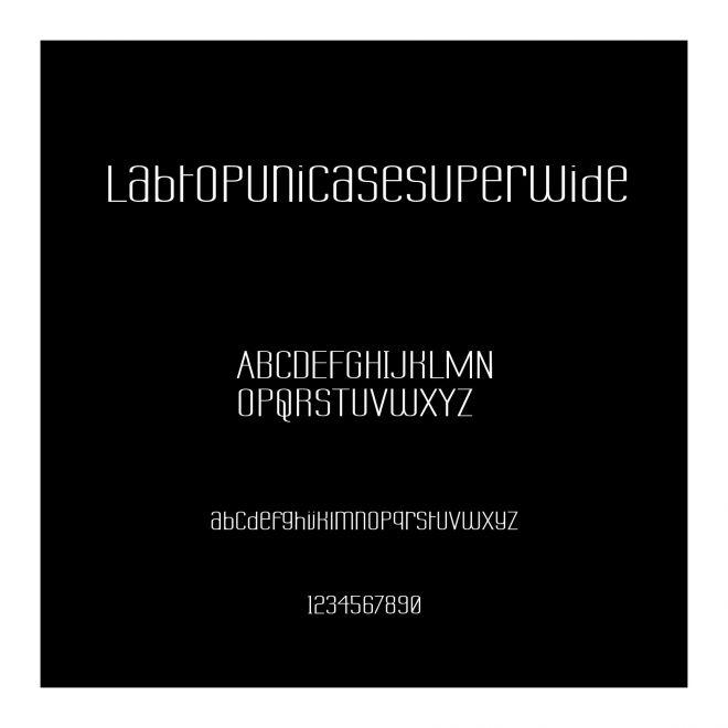 LabtopUnicaseSuperwide