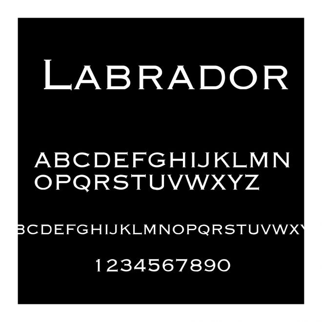 Labrador