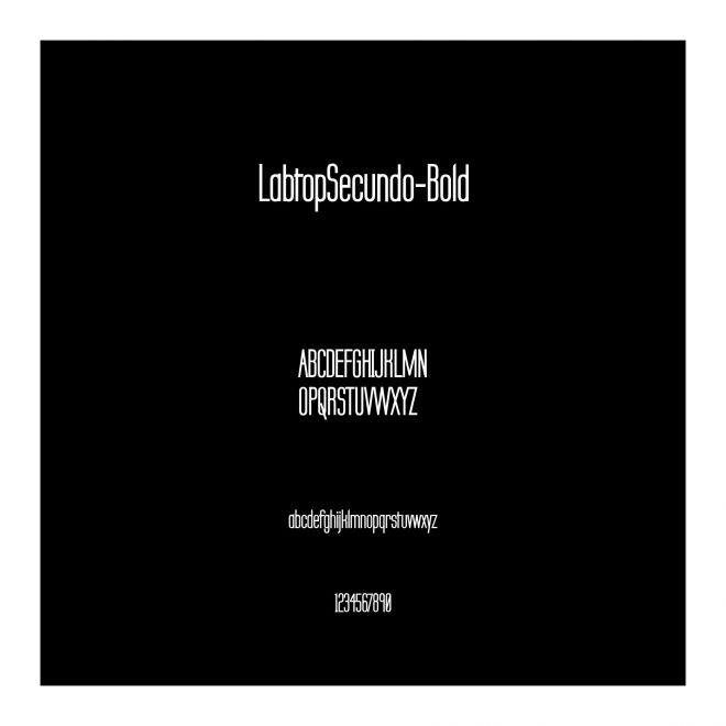 LabtopSecundo-Bold