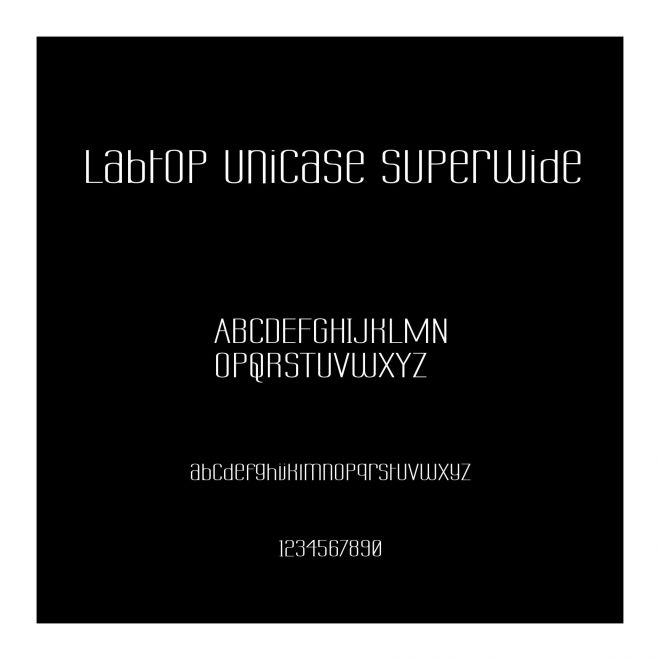 Labtop Unicase Superwide