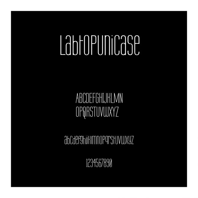 LabtopUnicase