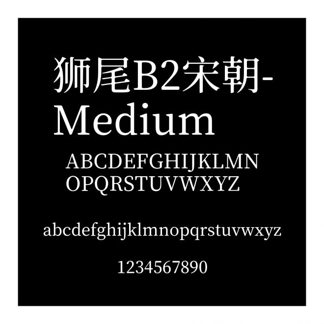 獅尾B2宋朝-Medium