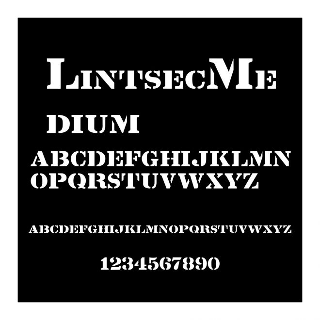 LintsecMedium