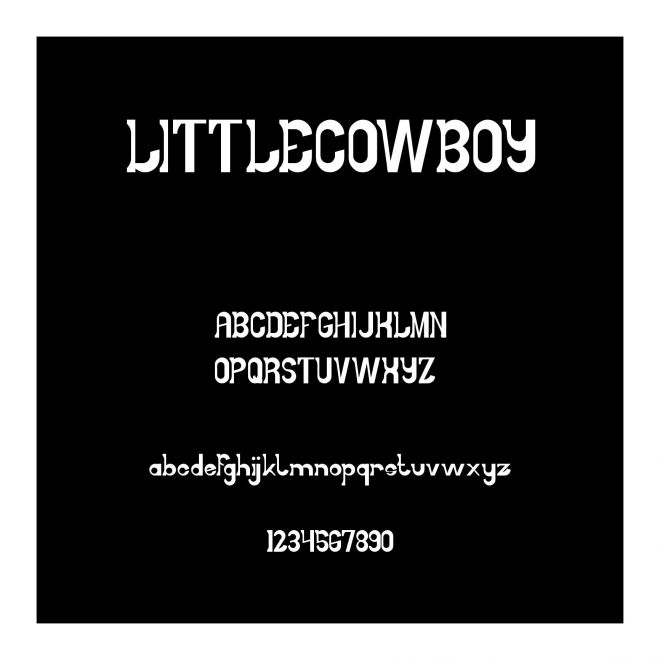 LITTLECOWBOY