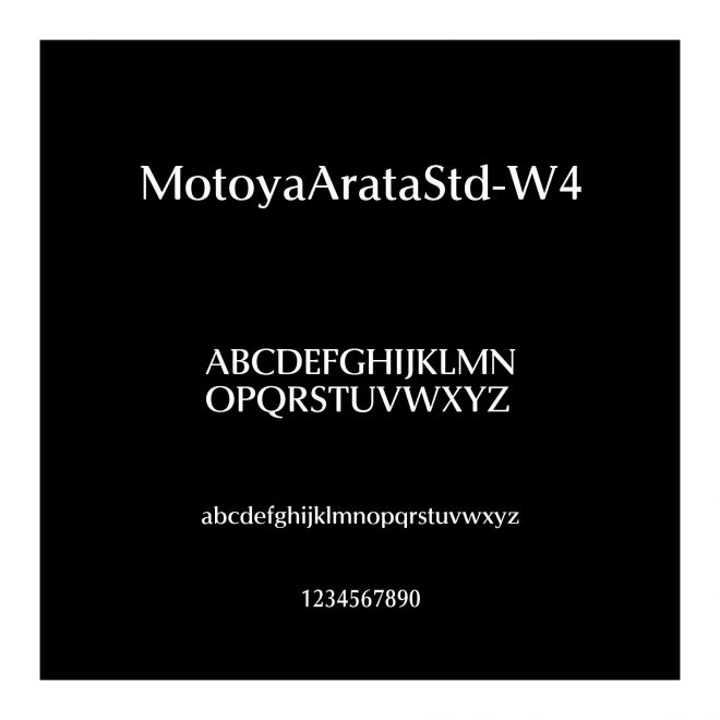 MotoyaArataStd-W4