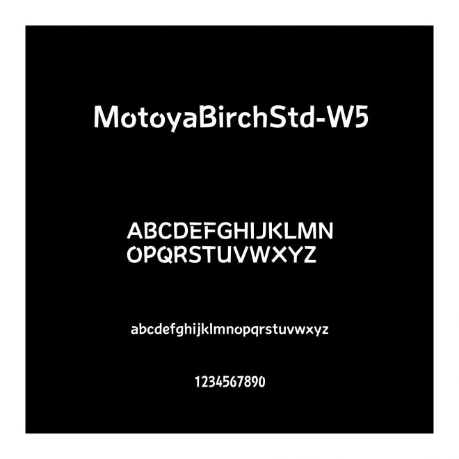 MotoyaBirchStd-W5