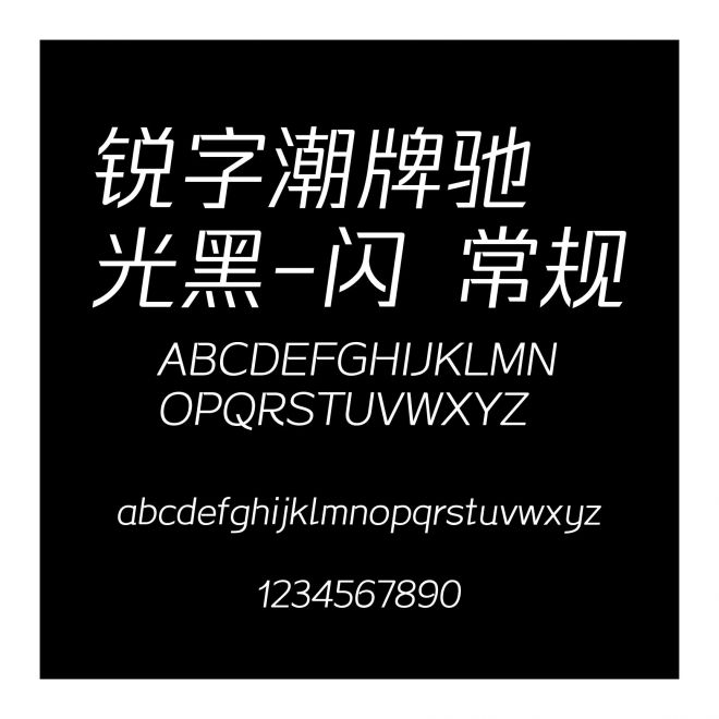 銳字潮牌馳光黑-閃 常規(guī)