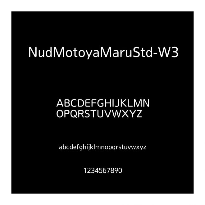 NudMotoyaMaruStd-W3
