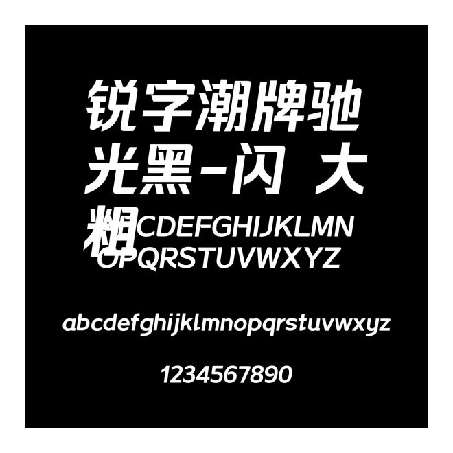 銳字潮牌馳光黑-閃 大粗