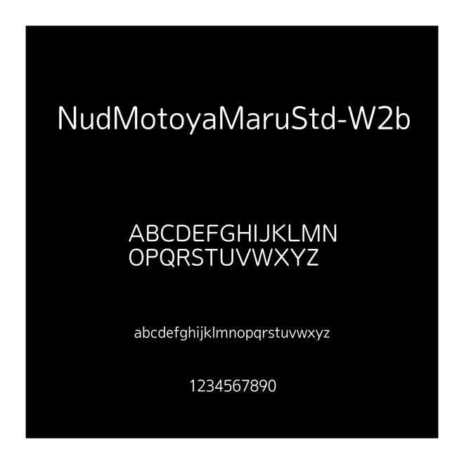 NudMotoyaMaruStd-W2b