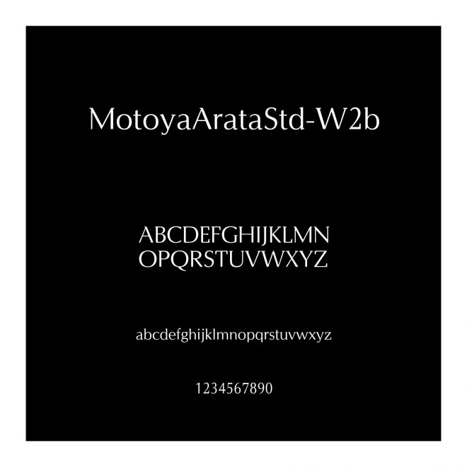 MotoyaArataStd-W2b