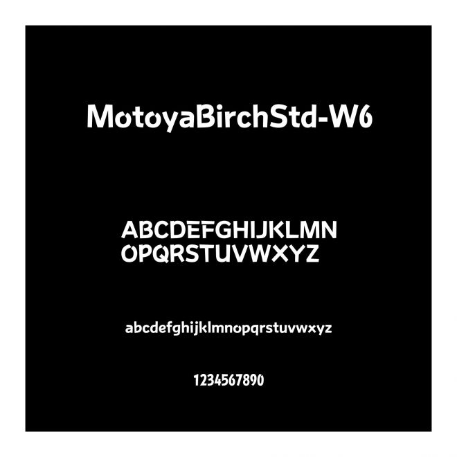 MotoyaBirchStd-W6