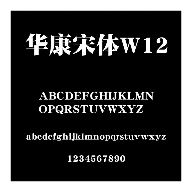 華康宋體W12