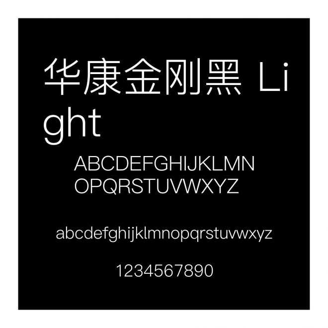 華康金剛黑 Light