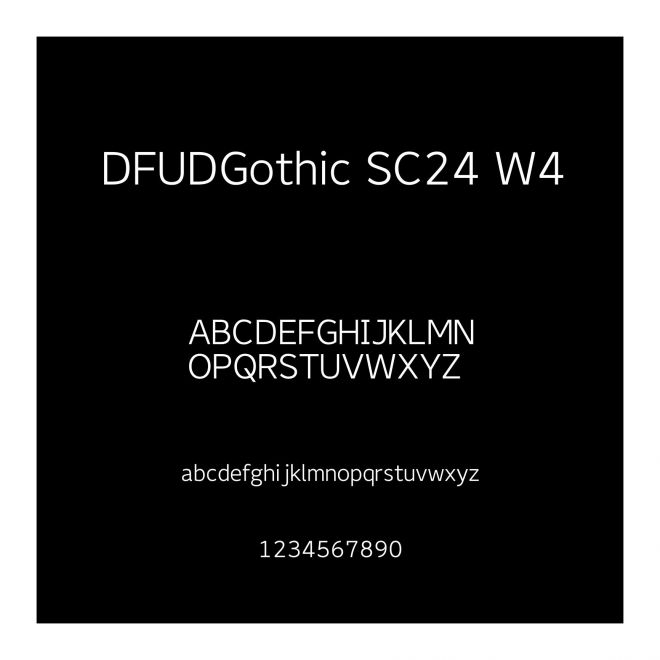 DFUDGothic SC24 W4