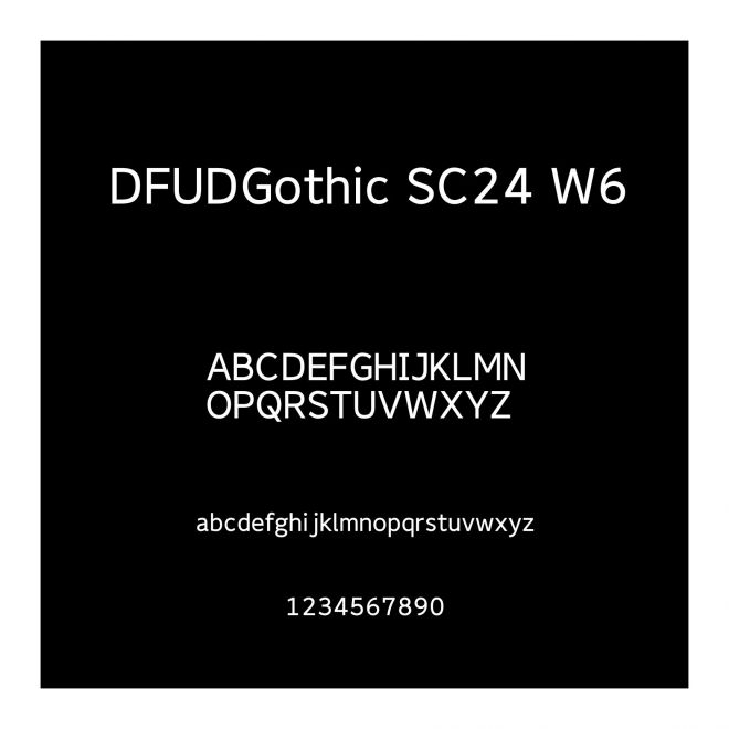 DFUDGothic SC24 W6