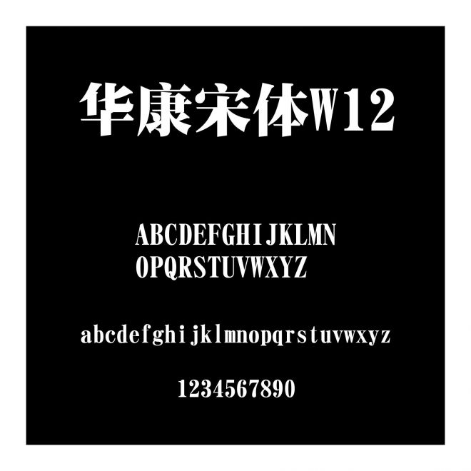 華康宋體W12