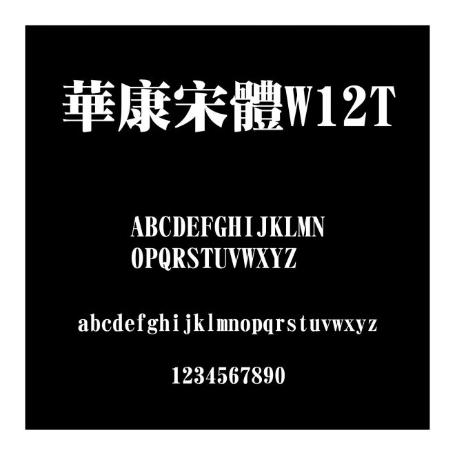華康宋體W12T
