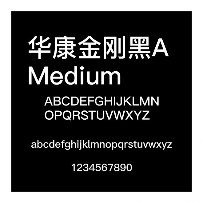 華康金剛黑A Medium