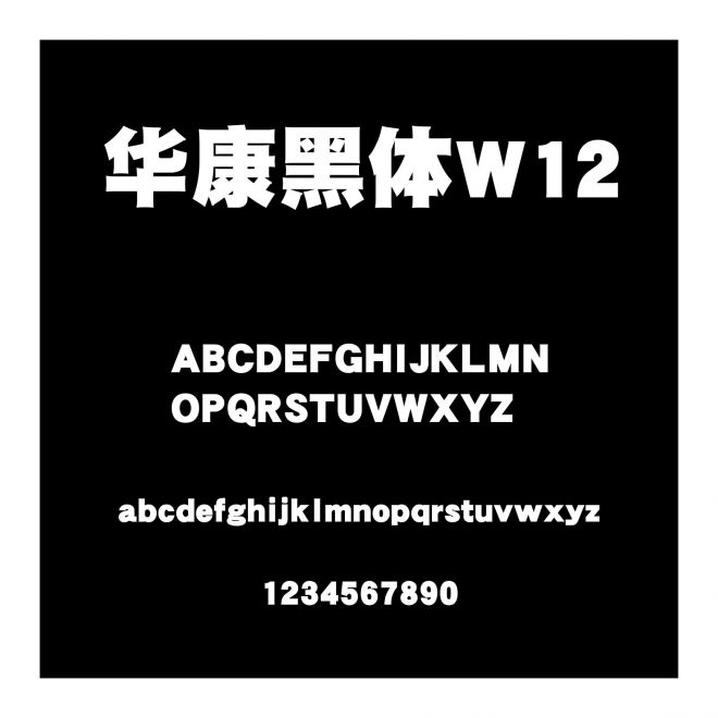 華康黑體W12