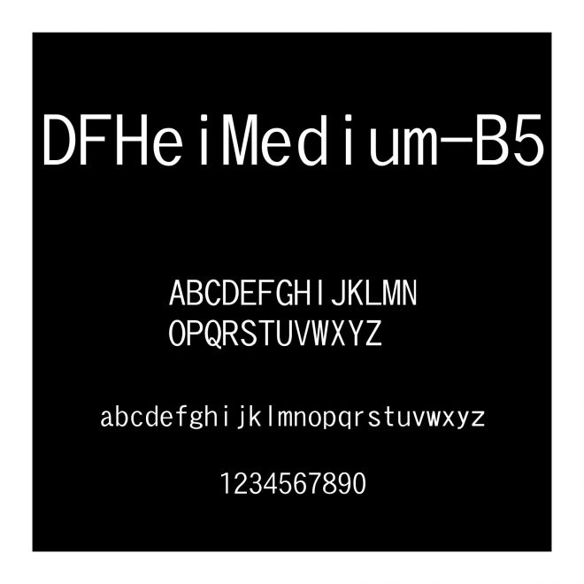 DFHeiMedium-B5
