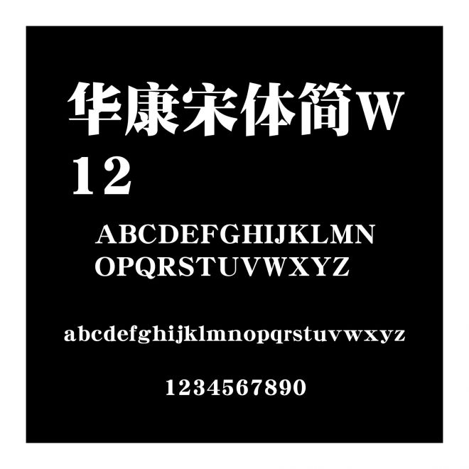 華康宋體簡W12