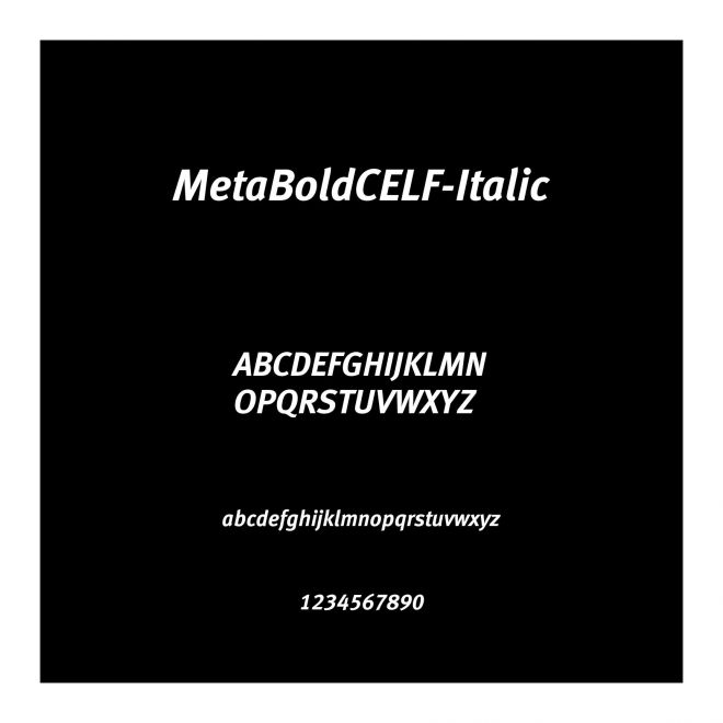 MetaBoldCELF-Italic