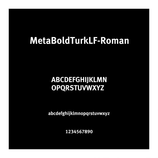 MetaBoldTurkLF-Roman