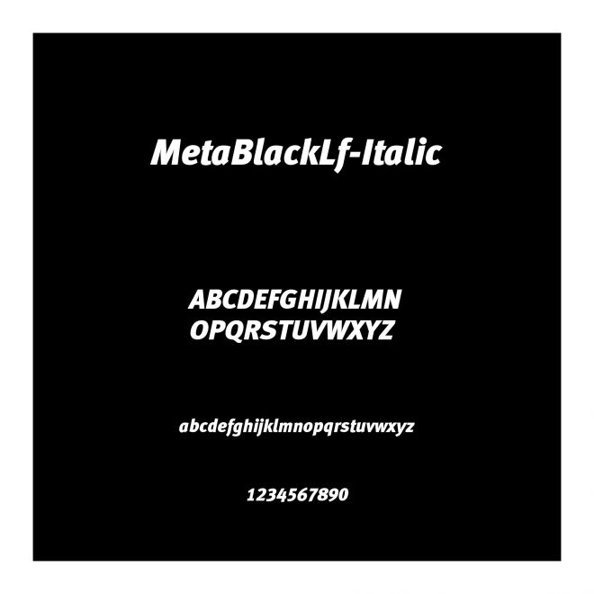 MetaBlackLf-Italic