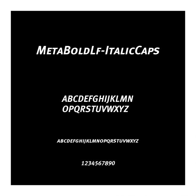 MetaBoldLf-ItalicCaps
