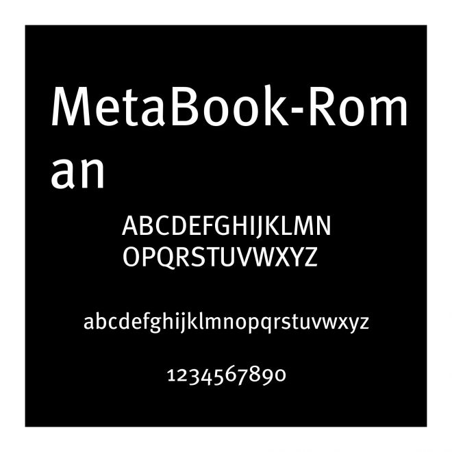 MetaBook-Roman