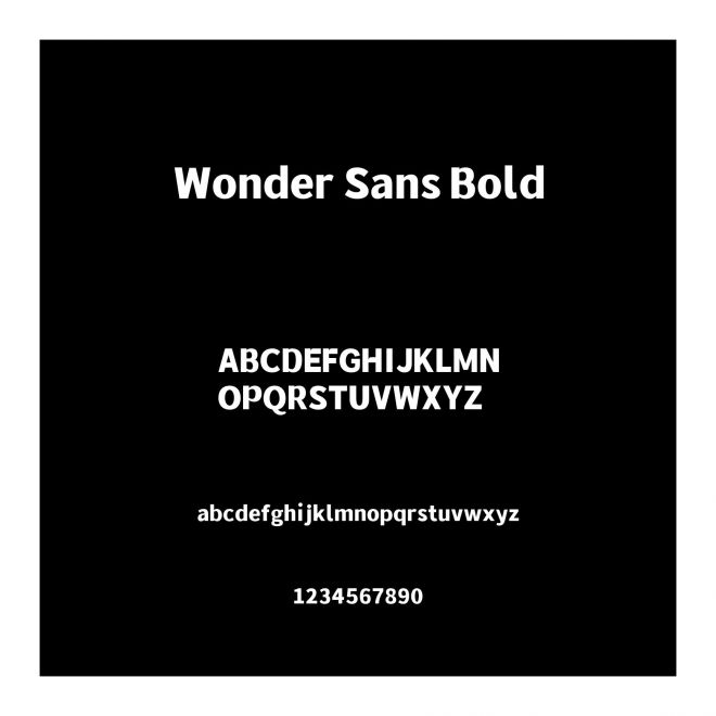 Wonder Sans Bold