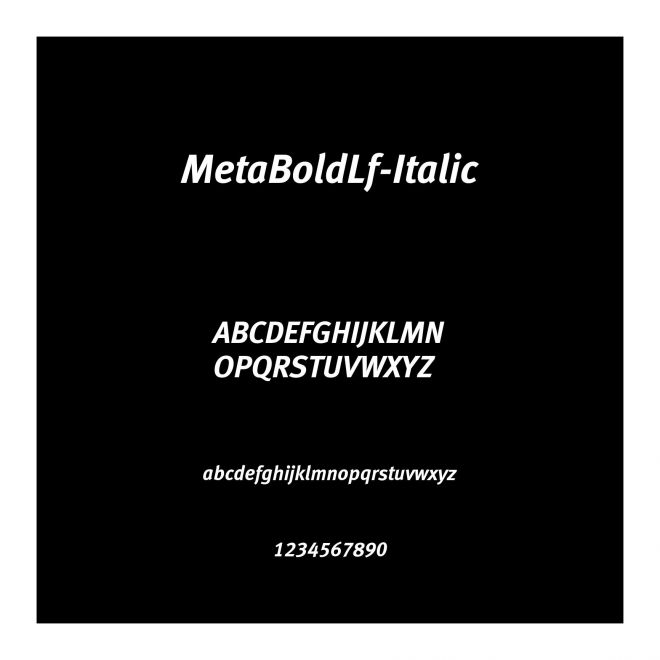 MetaBoldLf-Italic