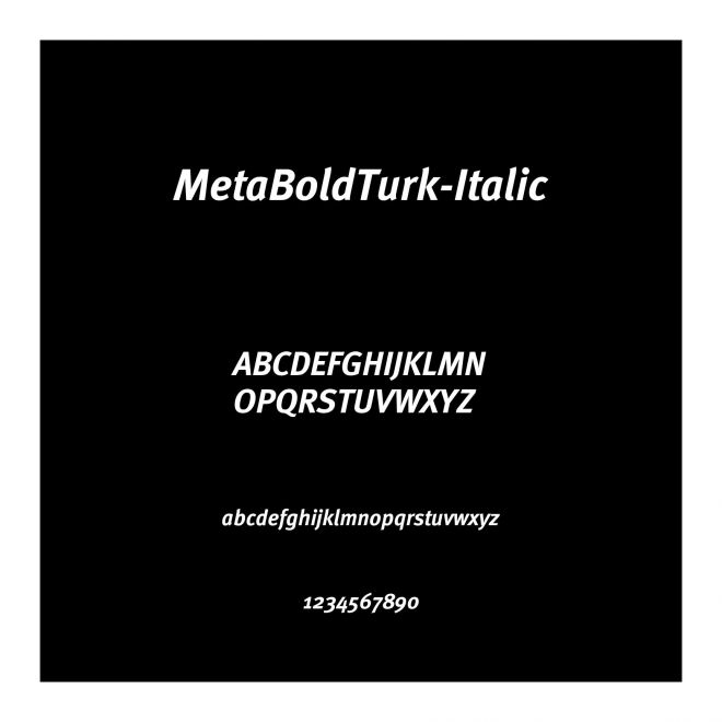 MetaBoldTurk-Italic