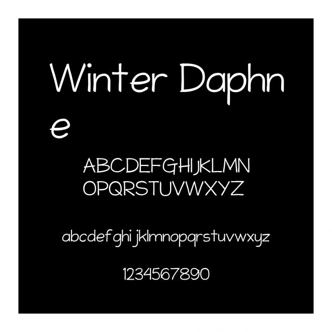 Winter Daphne
