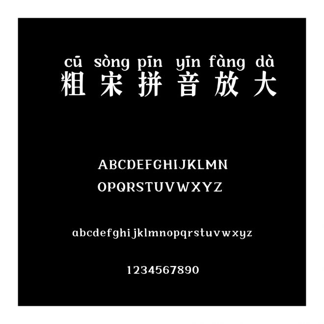 粗宋拼音放大