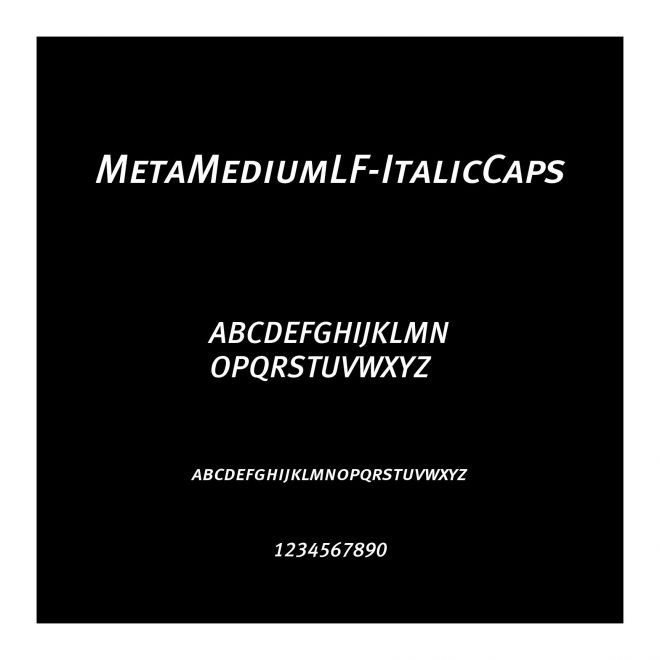 MetaMediumLF-ItalicCaps