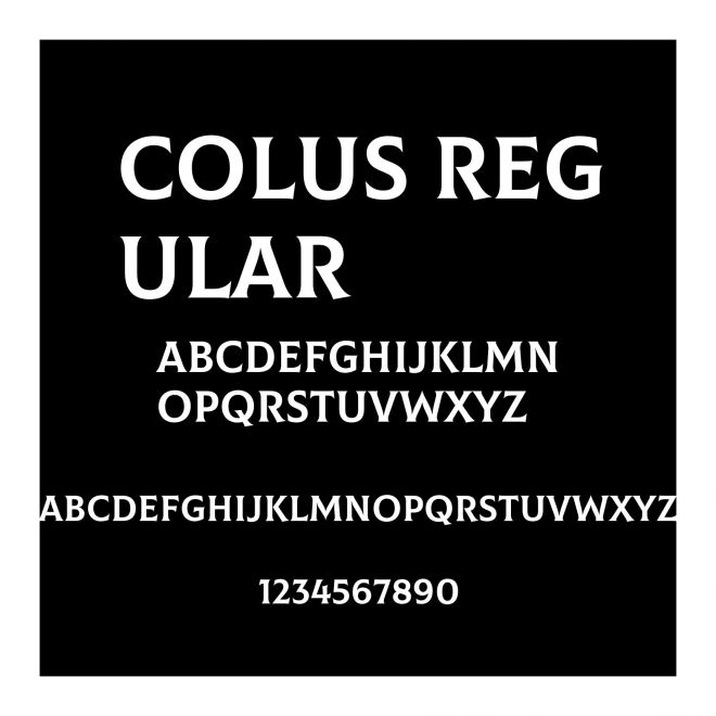 Colus Regular