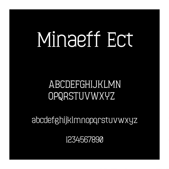 Minaeff Ect